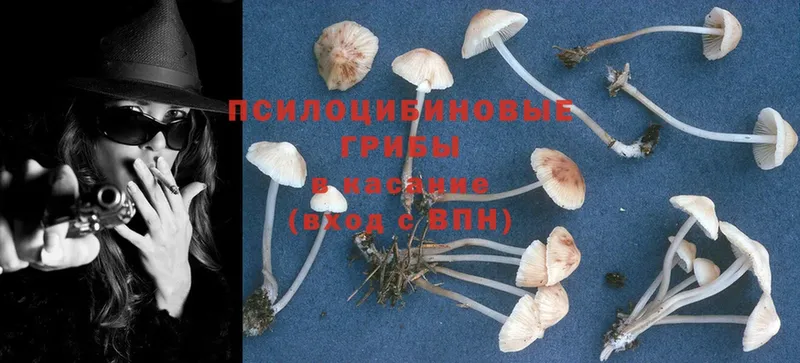 купить закладку  Новотроицк  Галлюциногенные грибы Magic Shrooms 